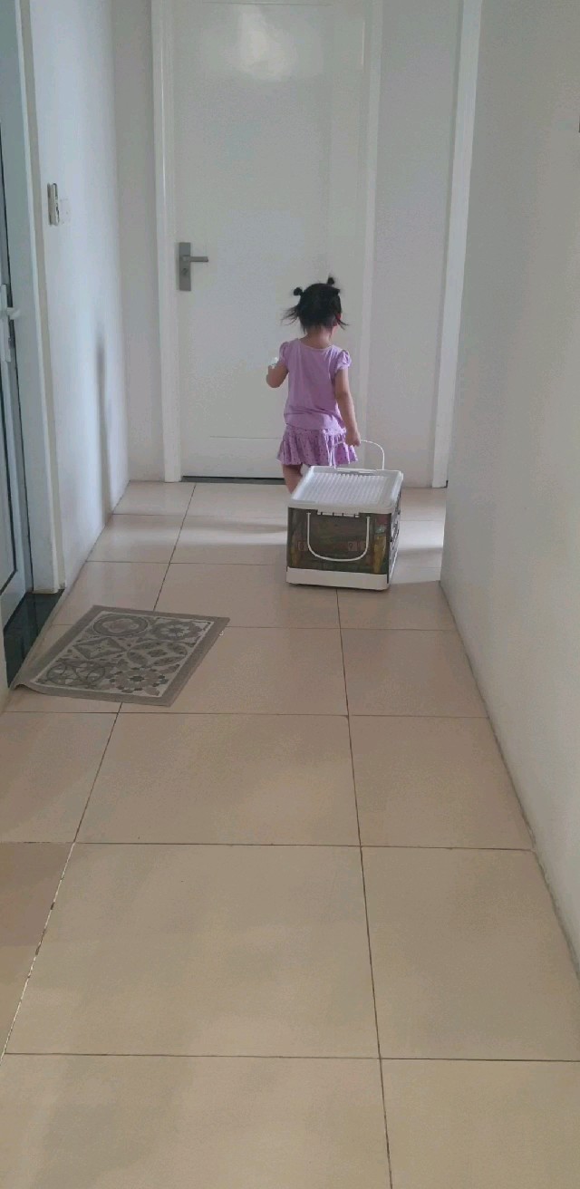 Video đánh giá